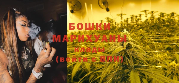 Альфа ПВП Белокуриха