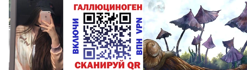 Псилоцибиновые грибы MAGIC MUSHROOMS Высоцк